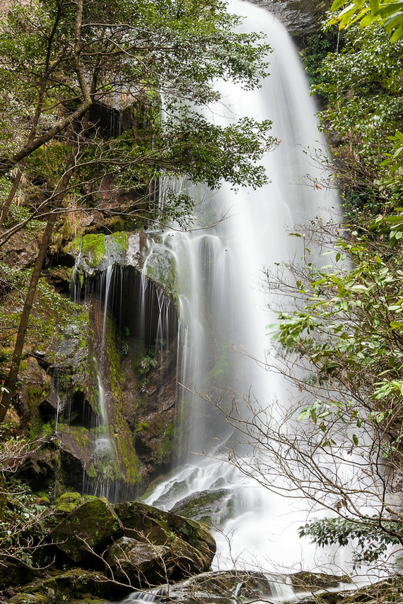 img_1964_2.jpg