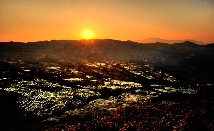dsc_0115a.jpg