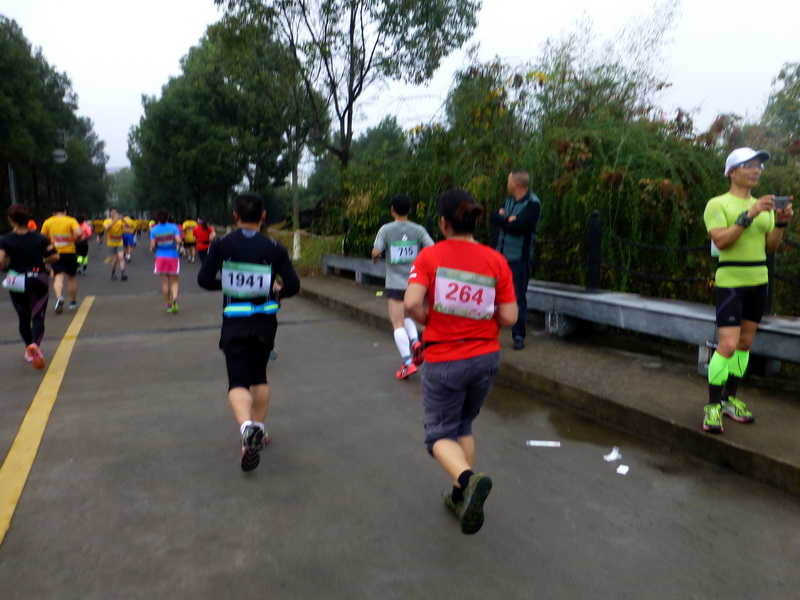 p1290889.jpg