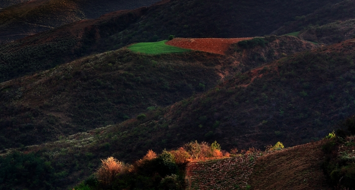 dsc_9634a.jpg