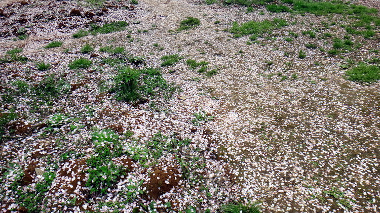 ӣ001.jpg