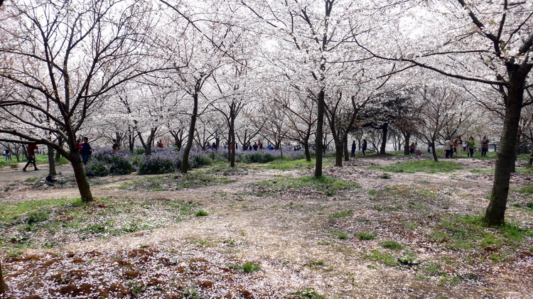 ӣ004.jpg