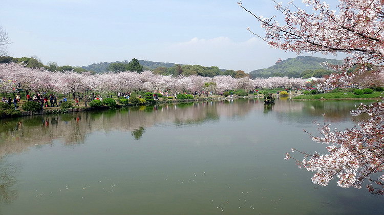 ӣ009.jpg