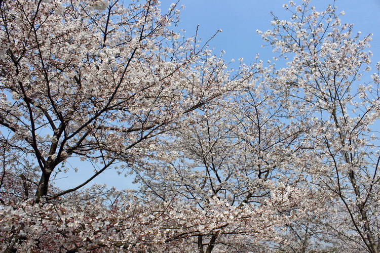 ӣ013.jpg