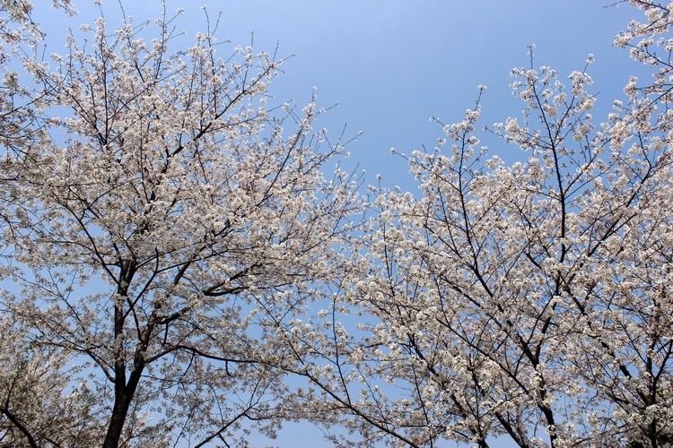 ӣ016.jpg