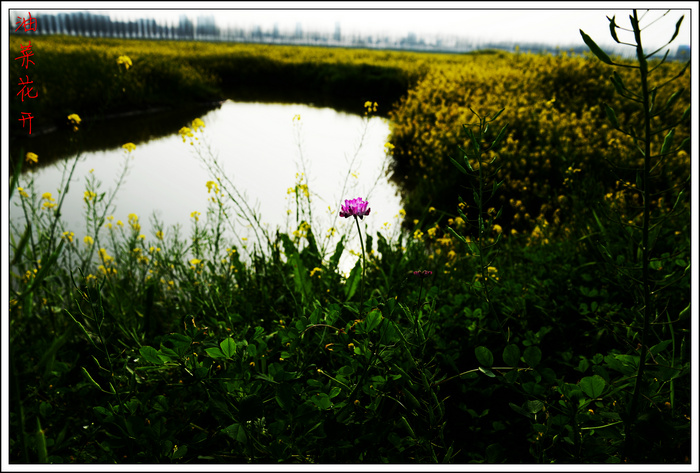 dsc_6543.jpg