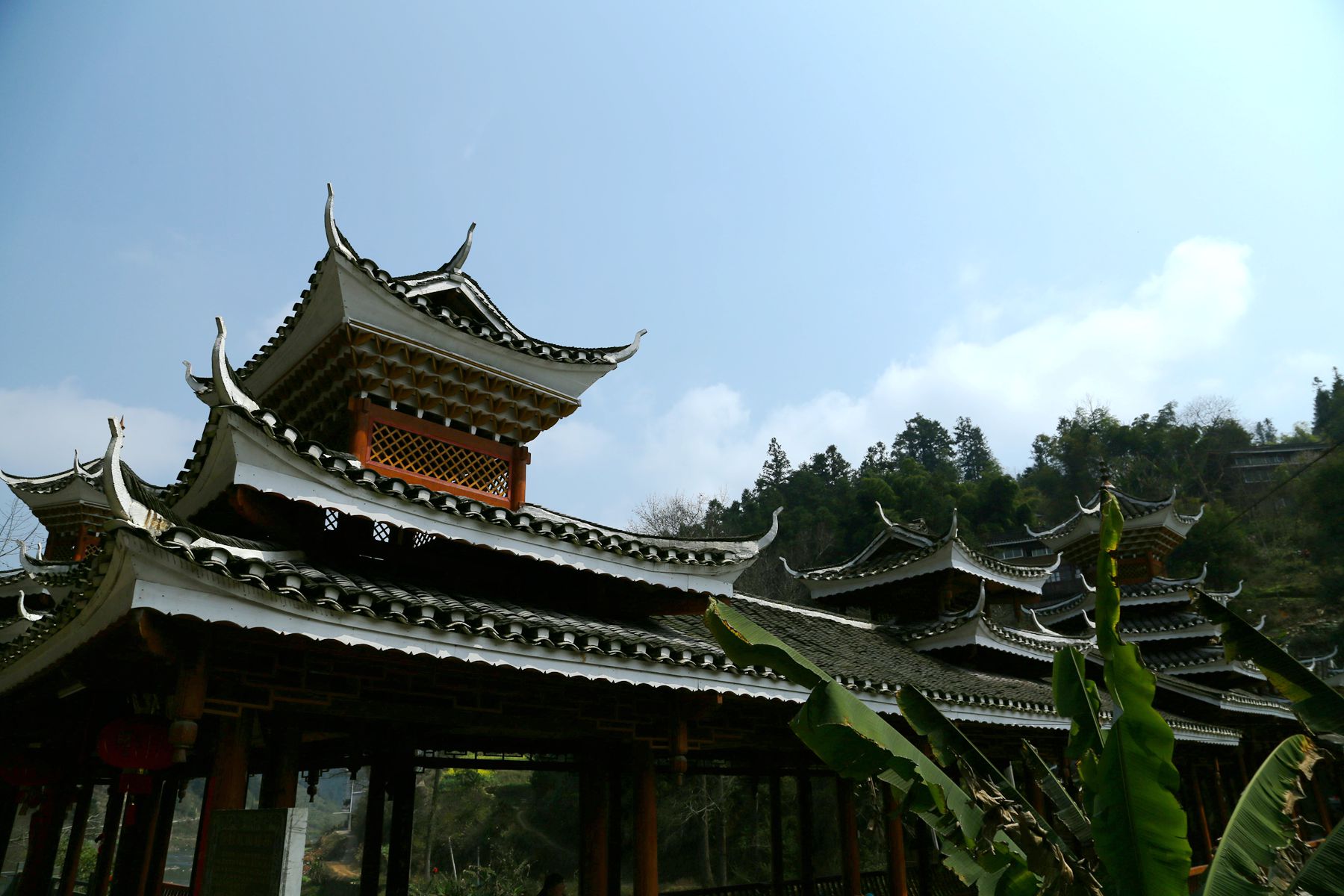 img_8355_.jpg