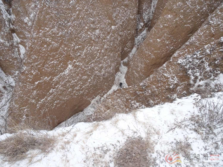 201501311002553541.jpg