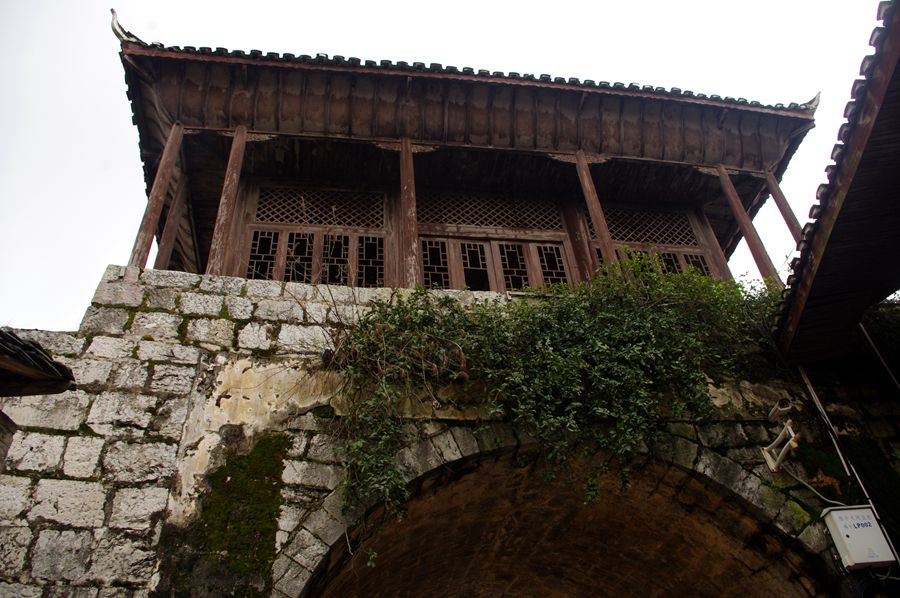 imgp0538_.jpg