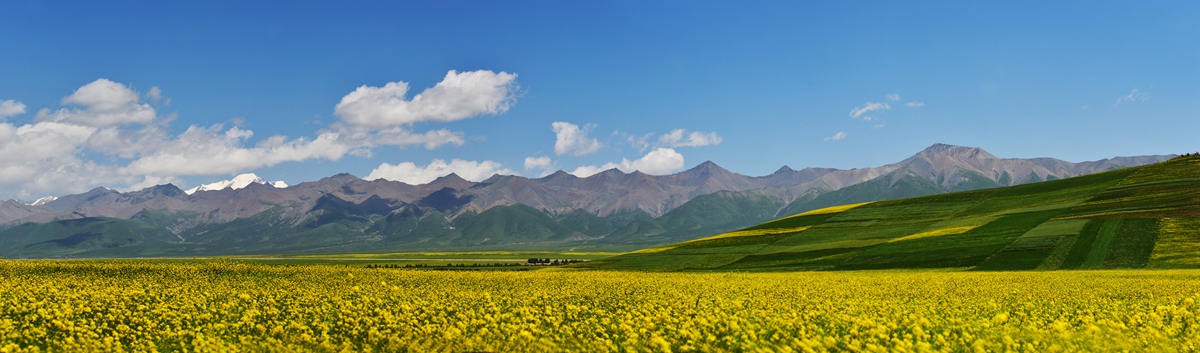 pano.025.jpg