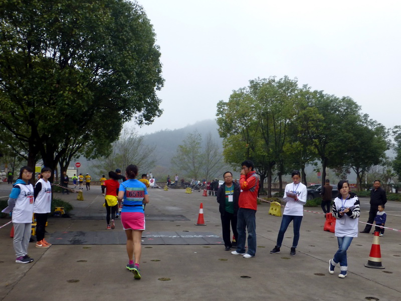 p1290915.jpg