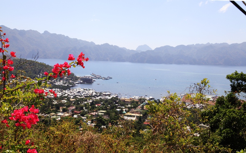 _mg_7489.jpg