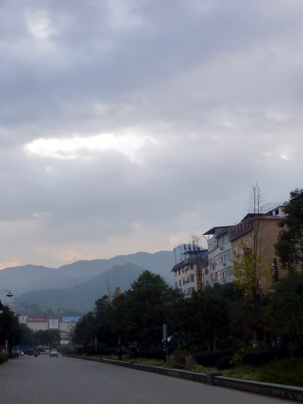 p1290590.jpg