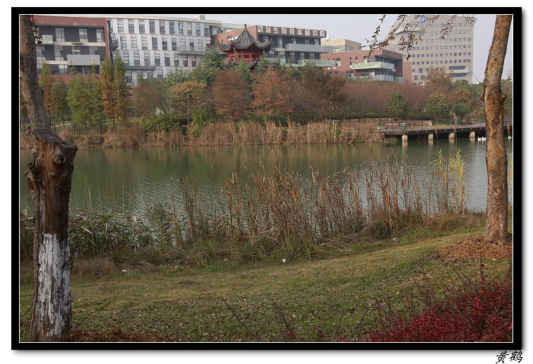 04.jpg