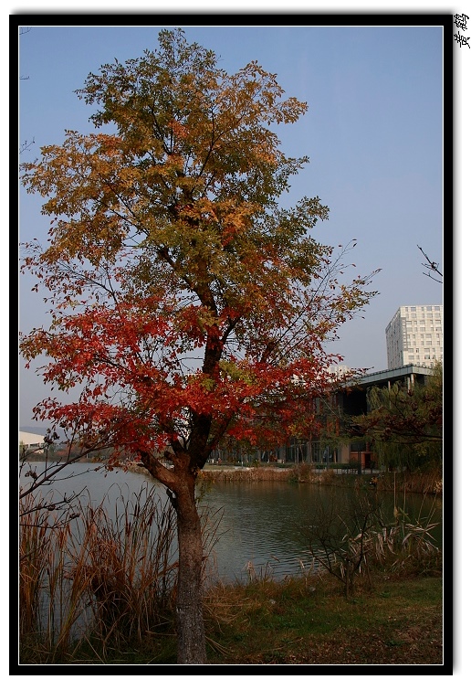 06.jpg