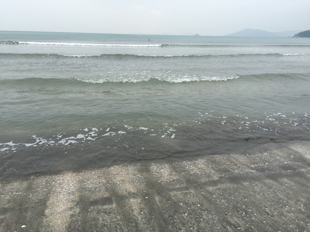 conew_img_04482.jpg