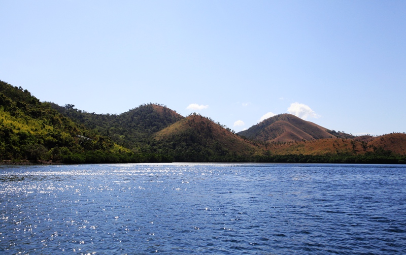 _mg_7309.jpg