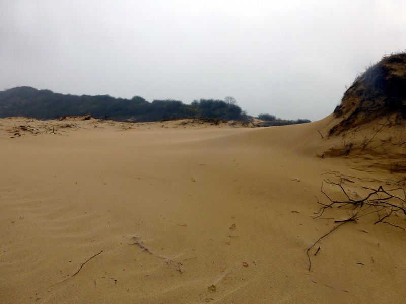 p1320315.jpg