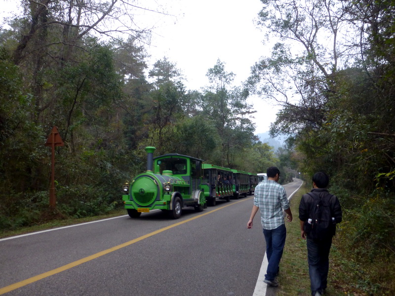 p1290645.jpg