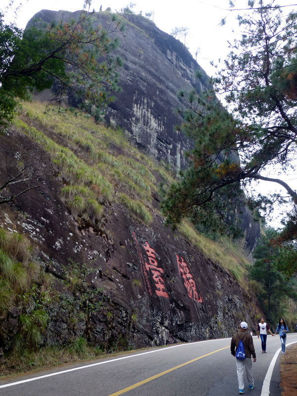 p1290634.jpg