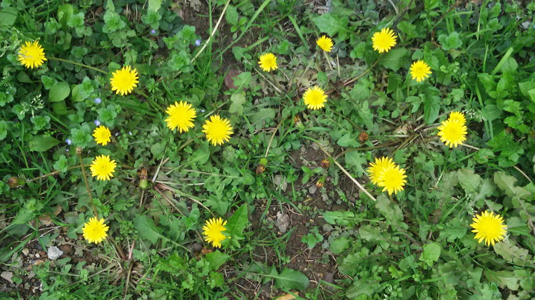 ѹӢ001.jpg