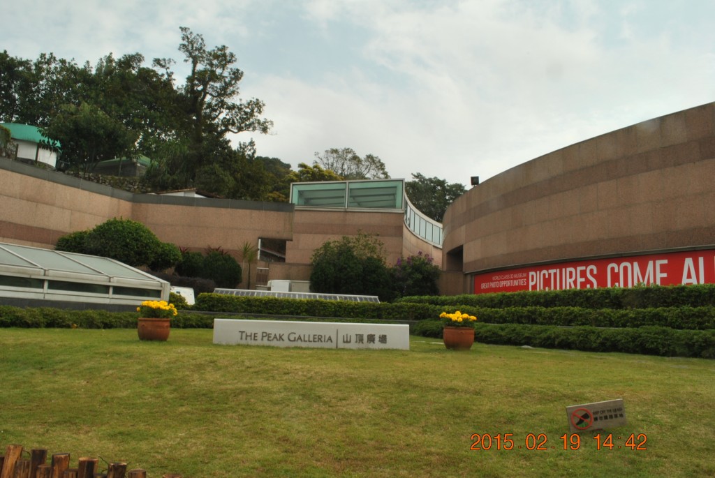conew_dsc_0437.jpg
