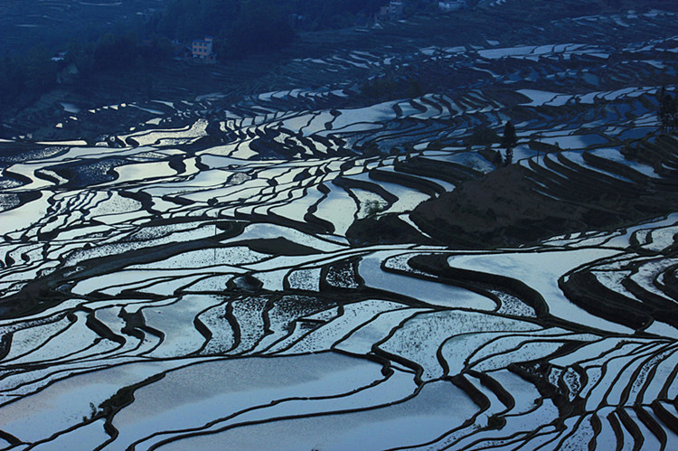 云南东川红土地 401_副本.jpg