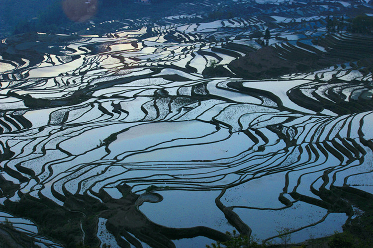 云南东川红土地 407_副本.jpg