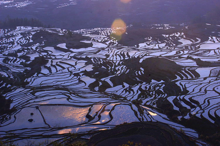 云南东川红土地 411_副本.jpg