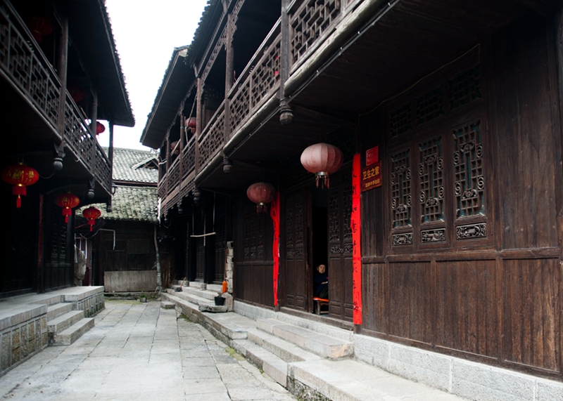 dsc_2024.jpg