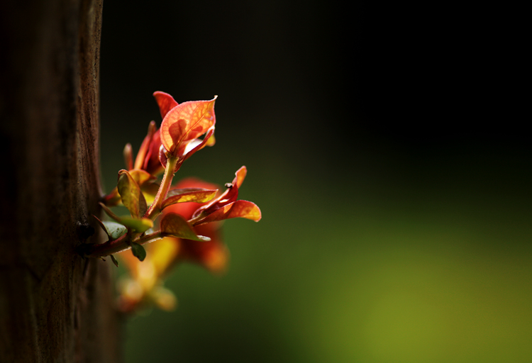 img_8137_副本.jpg