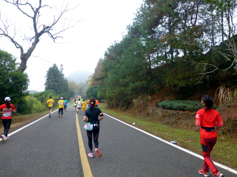 p1290923.jpg