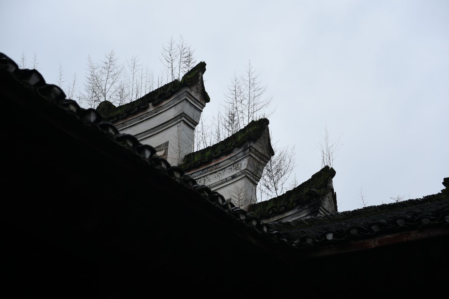 dsc_0608.jpg
