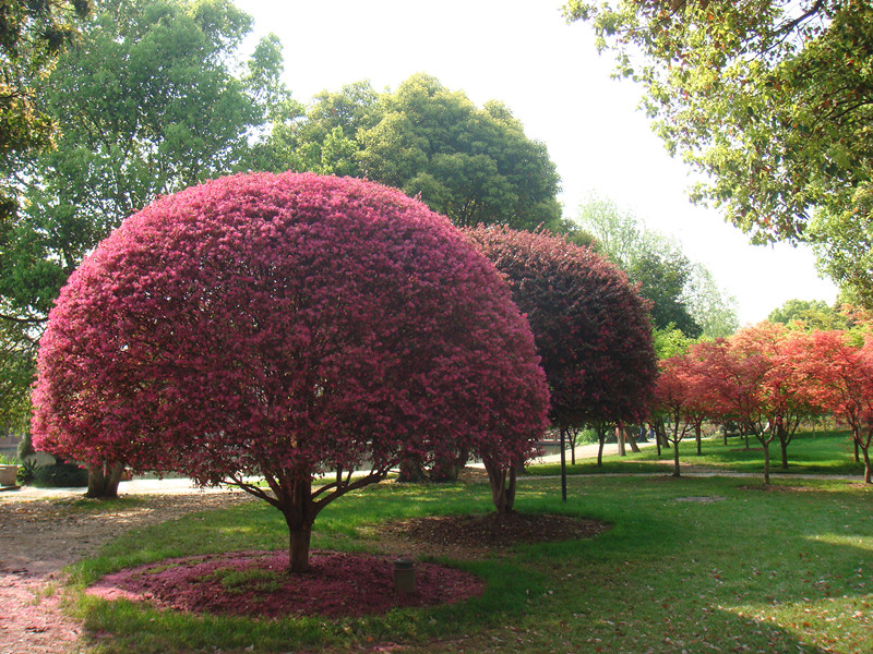 dsc03200_.jpg