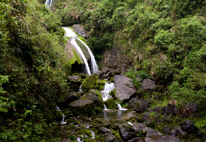 dsc_2256.jpg
