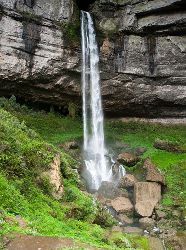 dsc_2264.jpg