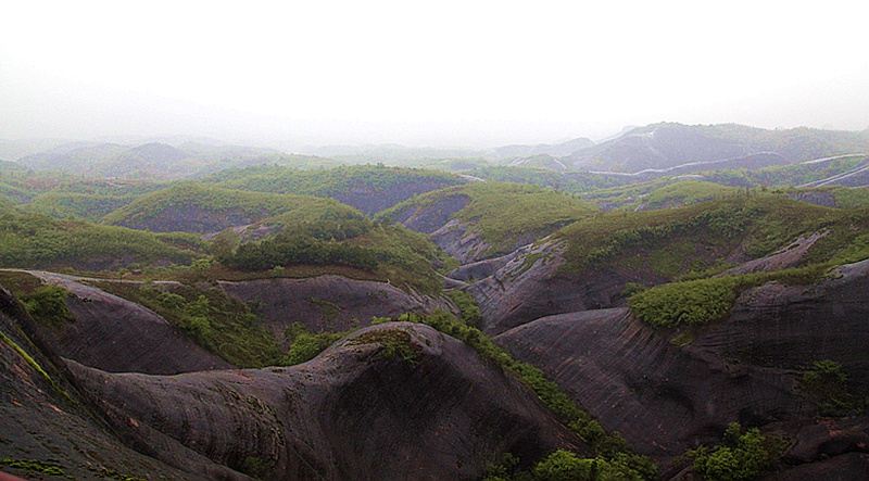 _mg_8509.jpg