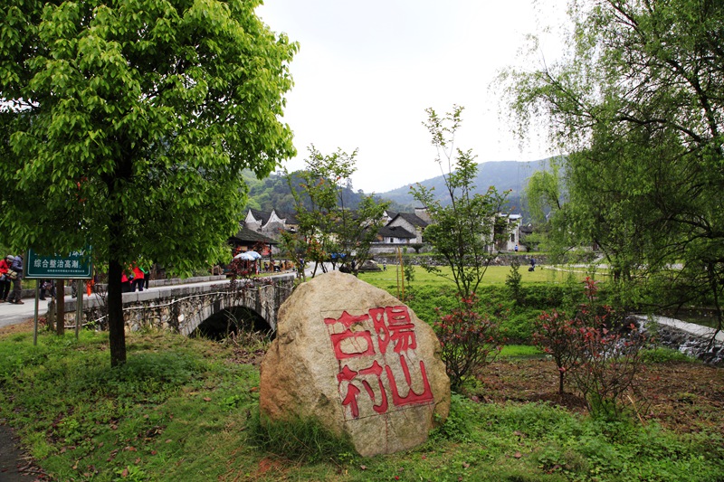 _mg_8553.jpg