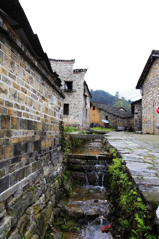 _mg_8579.jpg