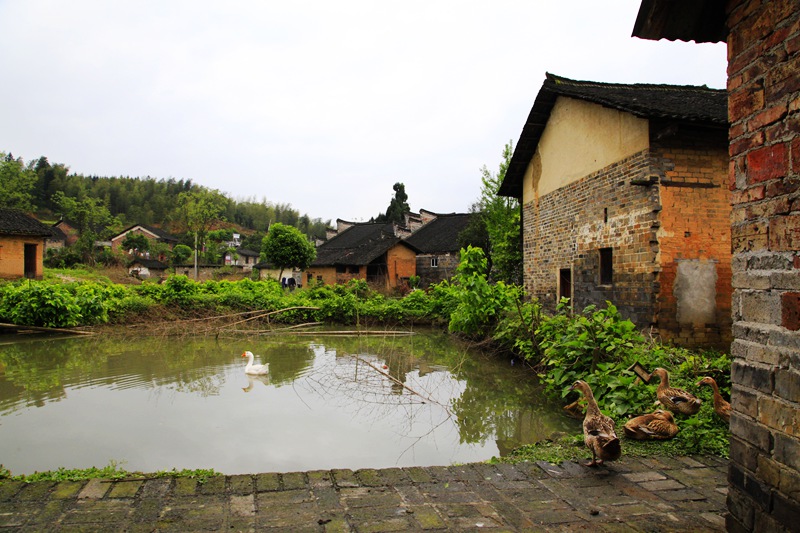 _mg_8582.jpg
