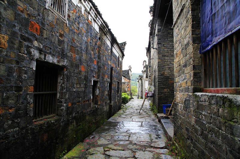 _mg_8600.jpg