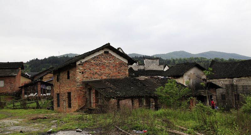 _mg_8604.jpg
