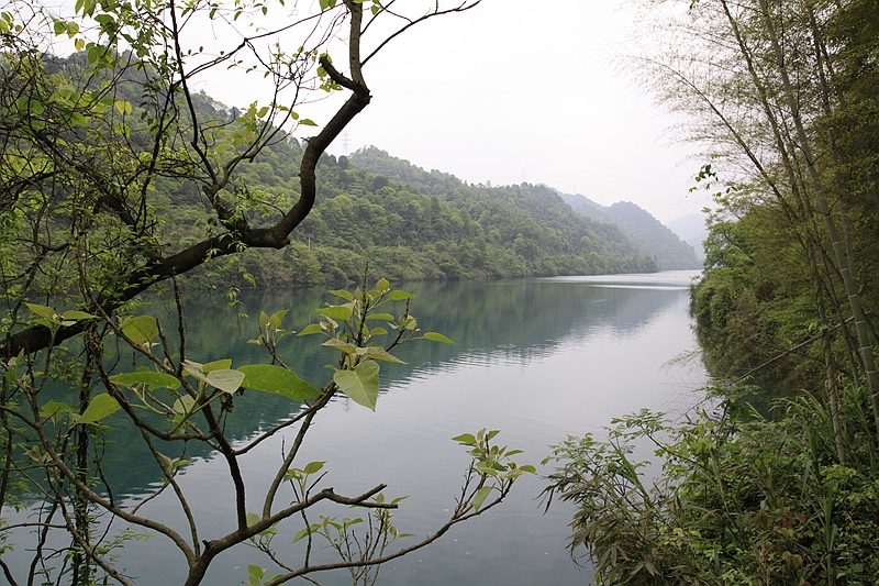 _mg_8770.jpg