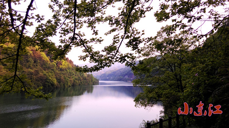 imag0422_burst002.jpg
