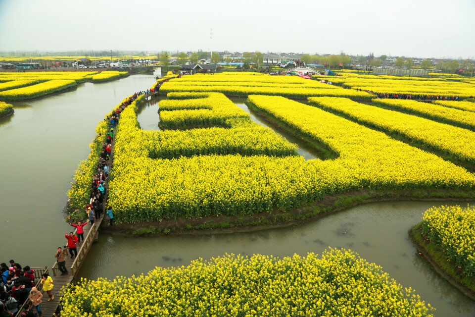 qq图片20150408205801.jpg