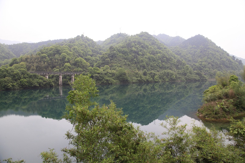 _mg_8865.jpg