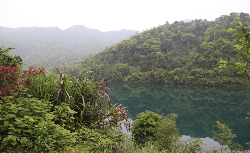 _mg_8884.jpg