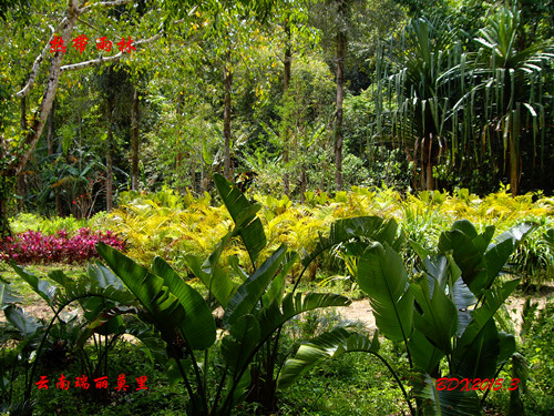 imgp1425_.jpg