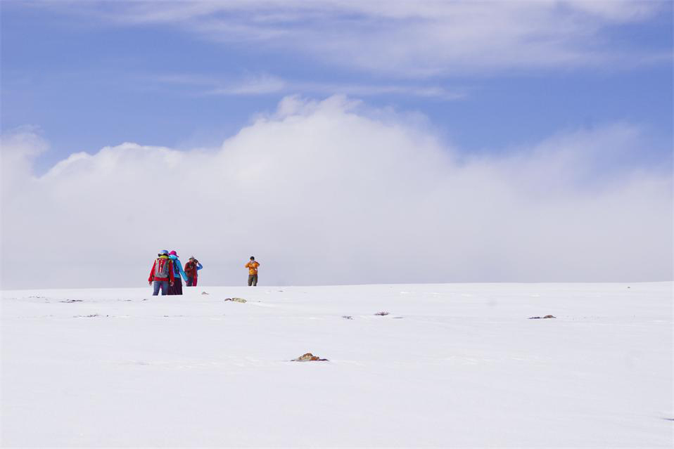_igp6417.jpg