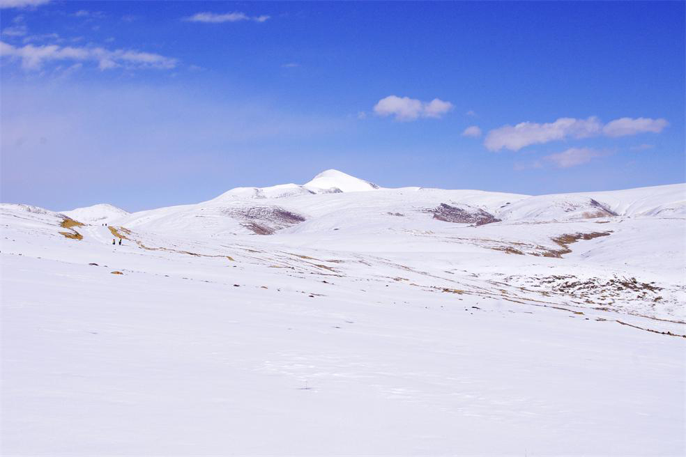 _igp6422_.jpg